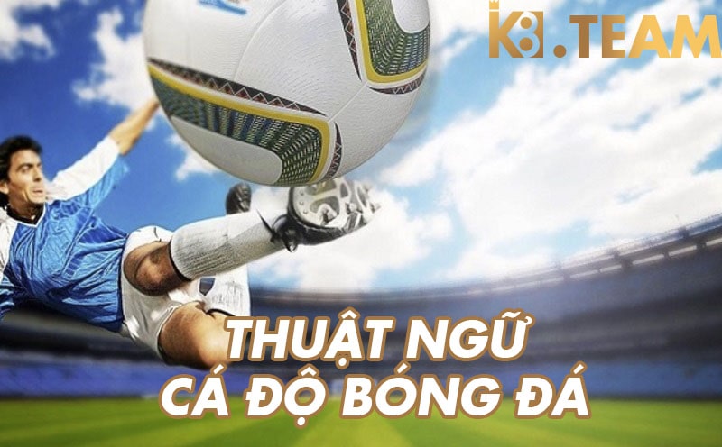 Thuật ngữ cá độ bóng đá rất phong phú