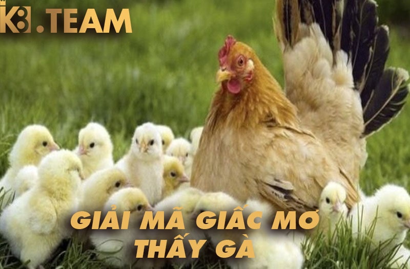 mơ thấy gà có ý nghĩa gì