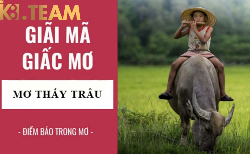 mơ thấy trâu là điềm báo gì