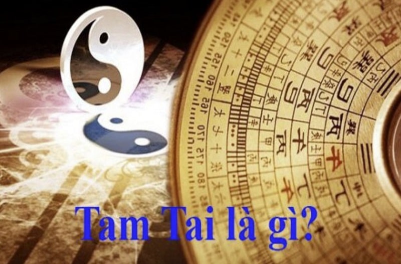 tam tai la gi 4