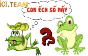 Con ếch số mấy? Giải mã giấc mơ thấy ếch