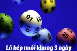 Nuôi lô kép khung 3 ngày siêu chuẩn