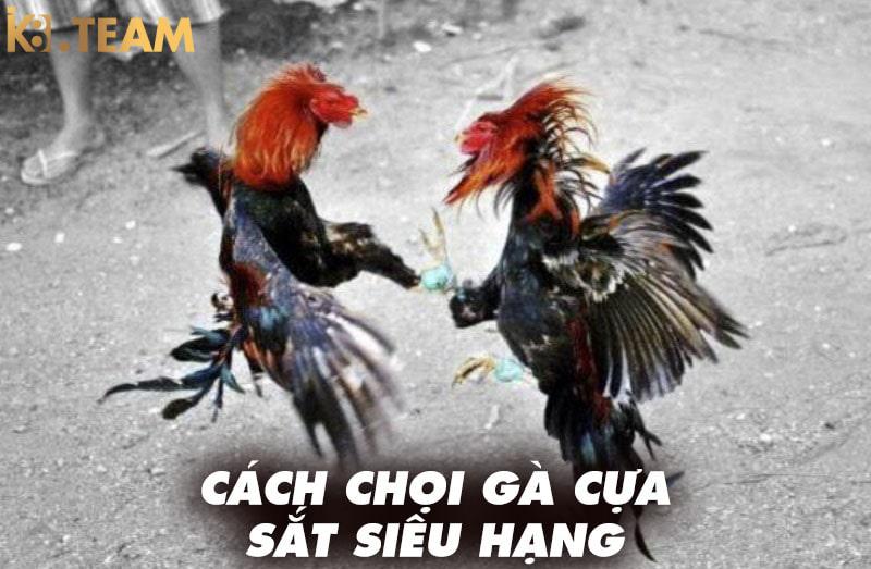 Cách chọi gà cựa sắt siêu hạng