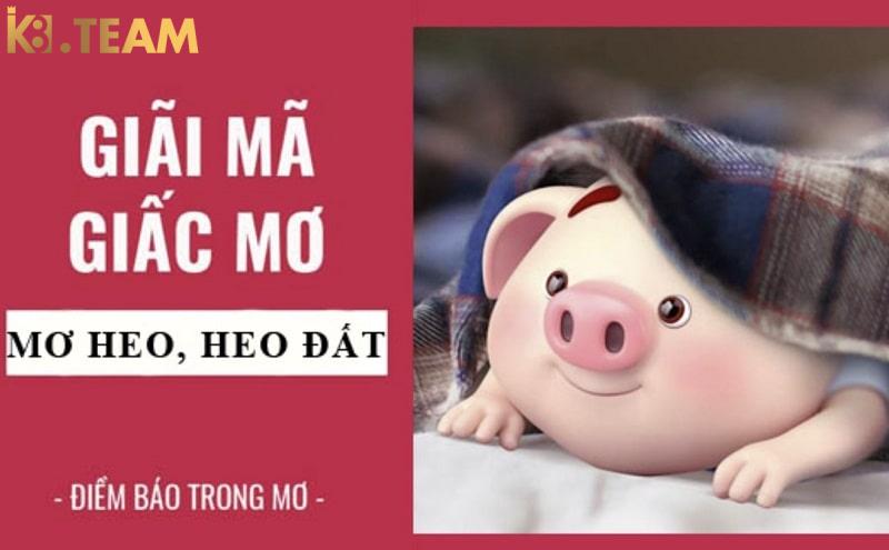 Mơ thấy lợn điềm gì?