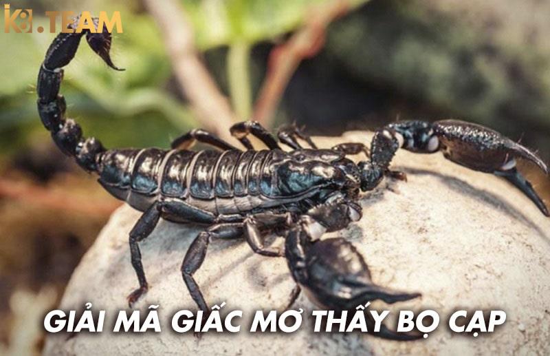 Mơ thấy bò cạp