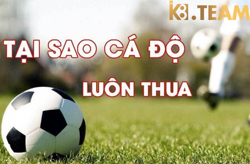 Lí do tại sao cá độ bóng đá luôn thua