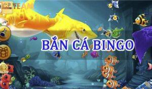 Bắn cá bingo tại K8