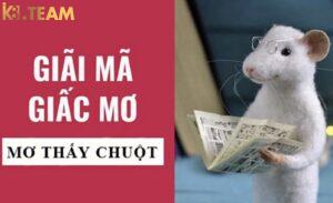 Mơ thấy chuột là điềm gì?