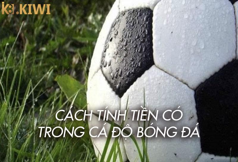 Cách tính tiền cỏ trong cá độ bóng đá