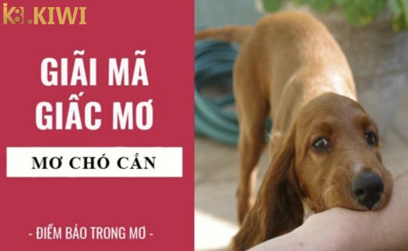 Giải mã mơ bị chó cắn