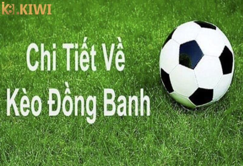 Giải đáp câu hỏi đồng banh là sao