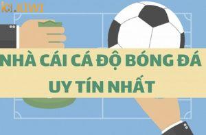 Cách nhận biết trang cá cược bóng đá uy tín